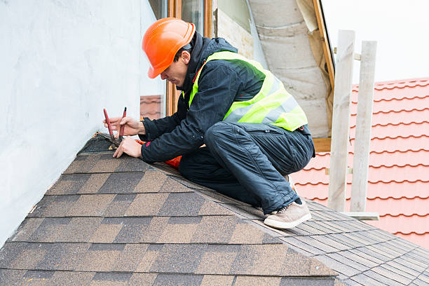 Best Local Roofing Companies  in Porter, IN